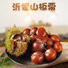 2022 Xinyi Monsanto Chinese chestnut On behalf of 3/5 fresh Farm Noodles Fragrant and sweet Oil chestnut