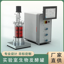 玻璃搅拌反应器 厌氧微生物发酵罐 SBR搅拌桶 生物发酵设备