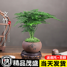 ��������ֲ���҃Ȼ����辰�͏d�k��������С�Gֲ�U������ļ����B