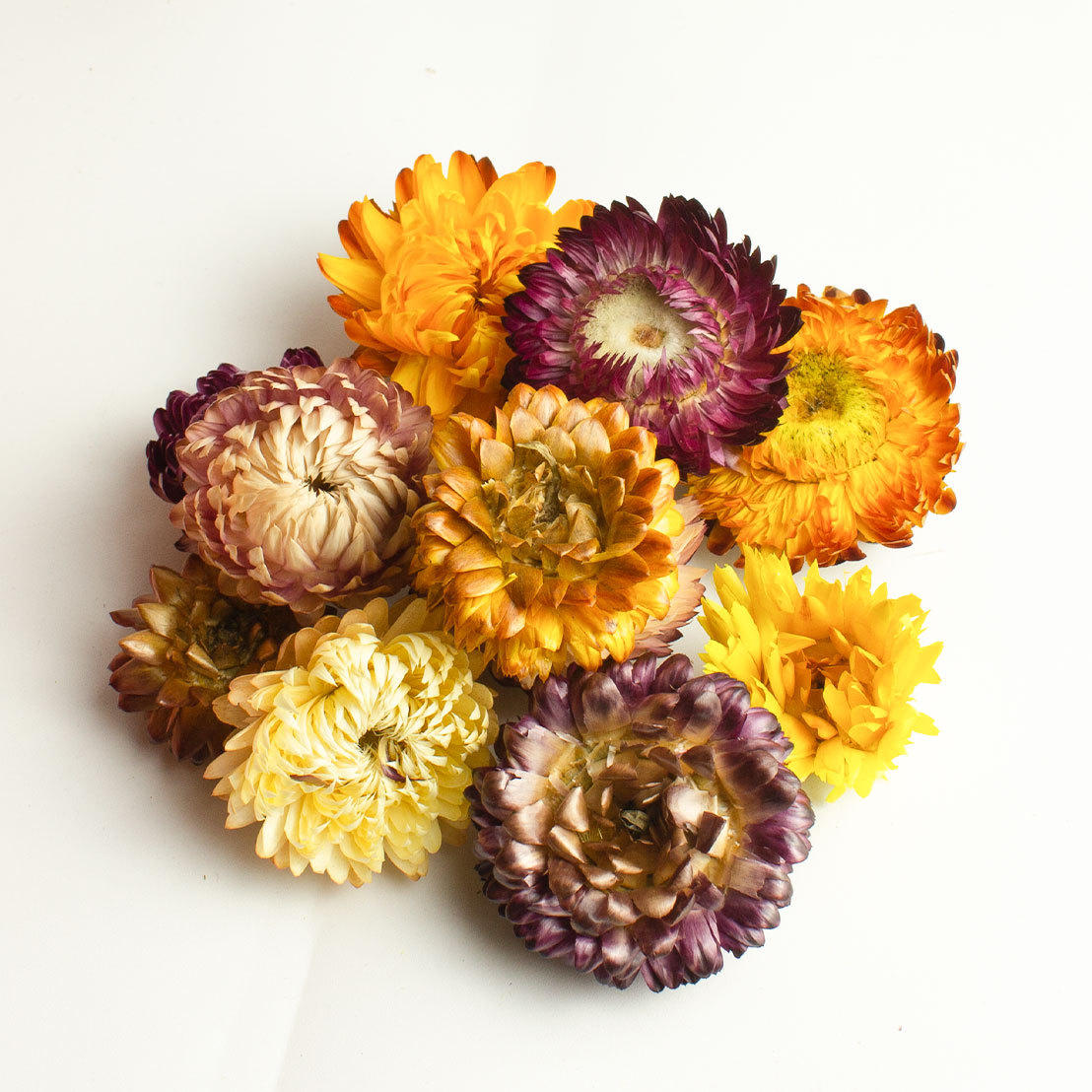 Seven-Color Chrysanthemum Tea 250g Dried Qicai Ju Flowers Loose Herbal Infusion for After-Meal Drinking key features