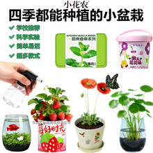 �ϼ�С���r���ԾGֲˮ���҃ȑ��˷Nֲ�[���ֹ������׃��@�������]