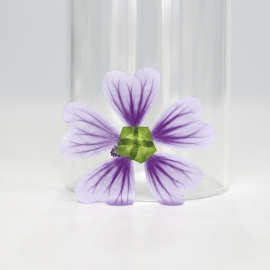 锦葵 写真干花押花diy压花书签滴胶干花手机壳植物标本贴脸花