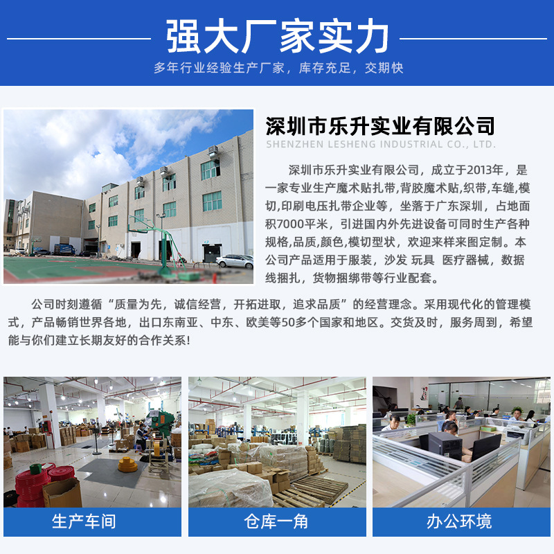 乐升实力厂家_01