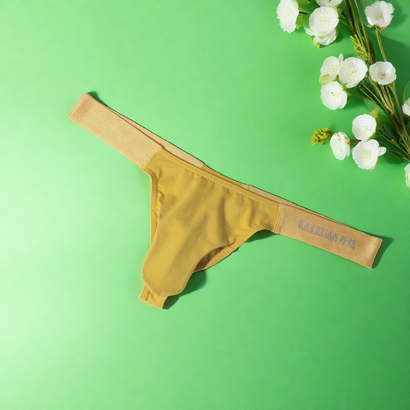 2025 New Men's Sexy Low-Waist Thong, Suitable for All Seasons, Solid Color Underwear, Moisture-Wicking, Elastic and Close-Fitting
