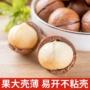 散装大颗粒干果
