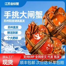 ����؛�Y���b ���K�ݴ��lз�F؛��Ʒ�Y���b��S���|���]������؛