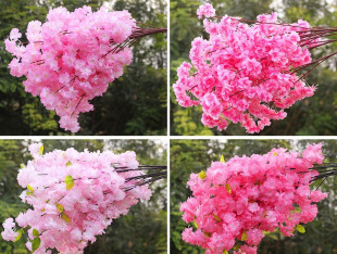 �ѻ�֦�ѻ������ϻ�c�b��һ��滨�҃ȿ͏d��ص�피ٻ��ٗl