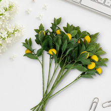 ���晎��֦���������~����~��֦�~â���~�����~�٘�������~��֦