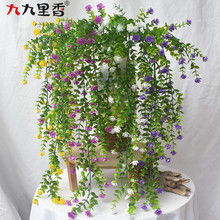 �羳����õ�廨�ȼ����ݱڒ�Gɫ����ֲ��Gɫ�����������b�