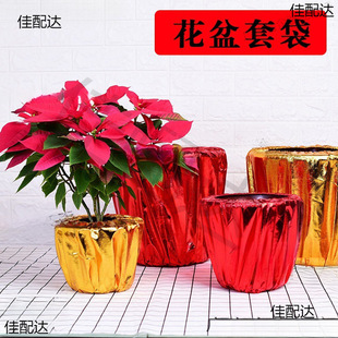Golden Flower Pot Bagging Annual Orange Golden Cloth Annual Flower Christmas Flower Pot Set Green Plant Pot Opening Holiday Arrangement