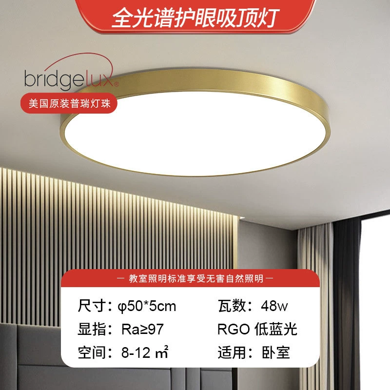 Golden LED ceiling light, lights for corridor, room light, light luxury style