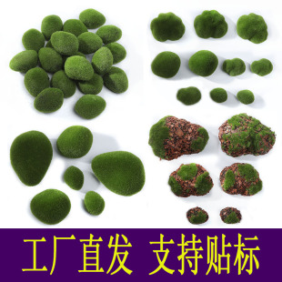 �������ֲ��������b�����������̦ʯ̦�\��ֲ̦ëʯ�^