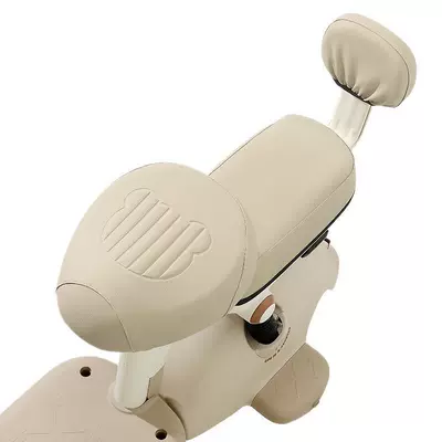 Electric car cushion – Thick Leather Sun-Proof Electric Bike