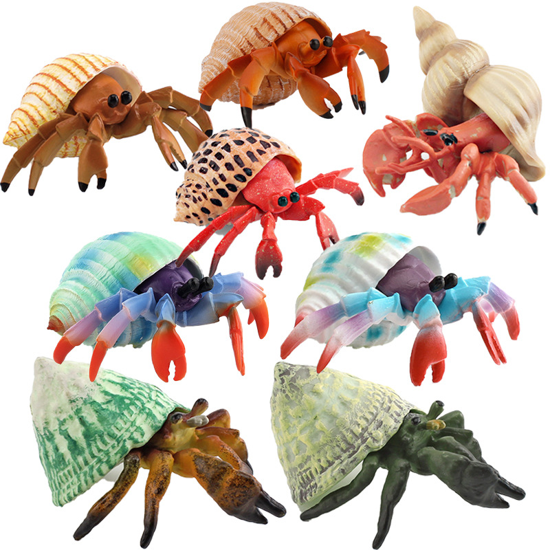 Puzzle cognitivo infantil simulación de criaturas marinas hermites cangrejo modelo juguete caracoles cangrejo estático adornos de escritorio Amazon