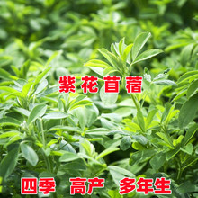 �M���ϻ���ޣ�ݷN�Ѷ��������ݷN���ļ��Bֳ��ţ�u�����~���ݲ���