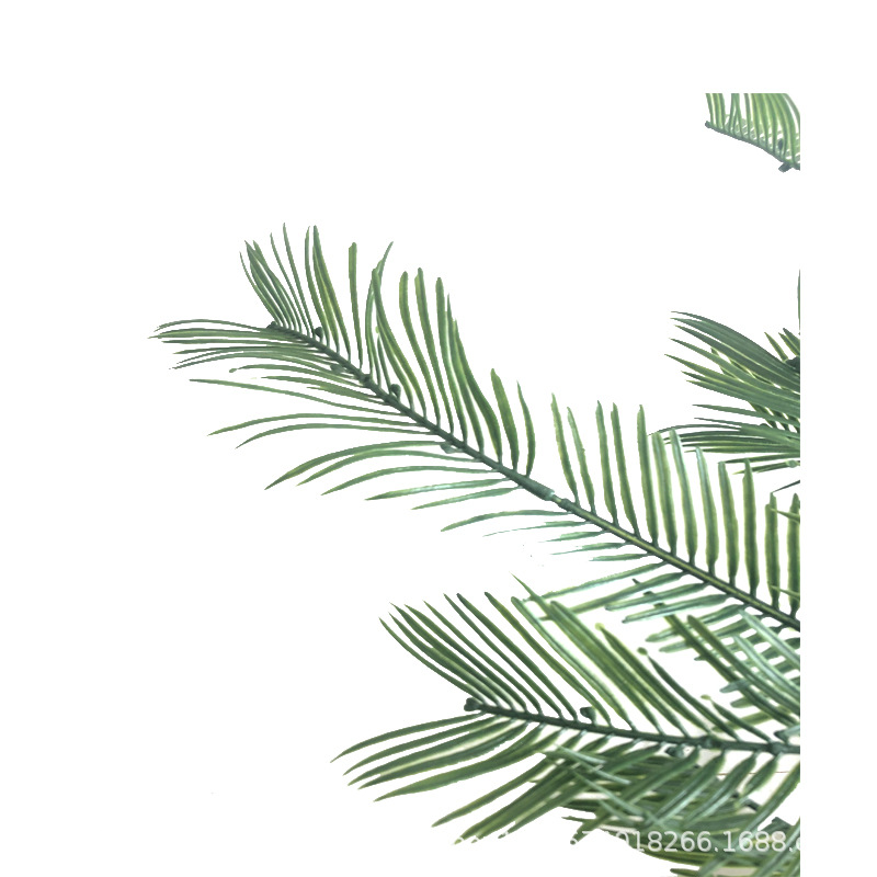 XRB-146 红豆杉3叉枝 (1).jpg