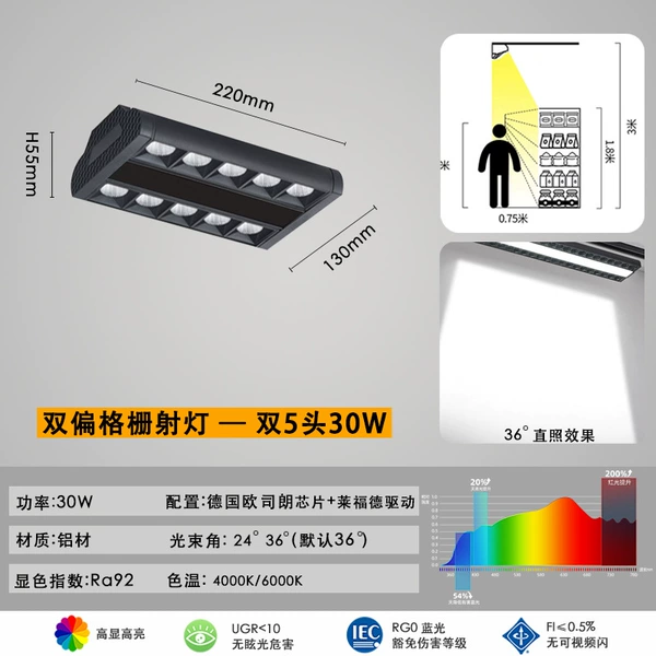 Black, double row, 10 heads in total, 30W