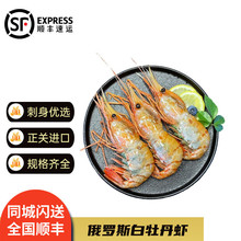 �g�؞�ĵ���r ���_˹��ĵ���r�������r��ɽ���c�r�ͶY�Y����؛��