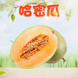 山东哈密瓜 5斤新鲜小香瓜冰激凌甜瓜应季孕妇水果礼盒
