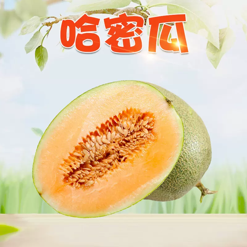 海南哈密瓜 代发3/5斤新鲜小香瓜头茬冰激凌甜瓜应季孕妇水果礼盒