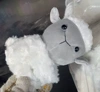 Rolling sheep