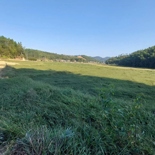 ���~ȸ�ް�ϲ���o�·N��ȸ�~����ȸ�~�޷N�ӌ��~�����ԲݷN���ͺ�