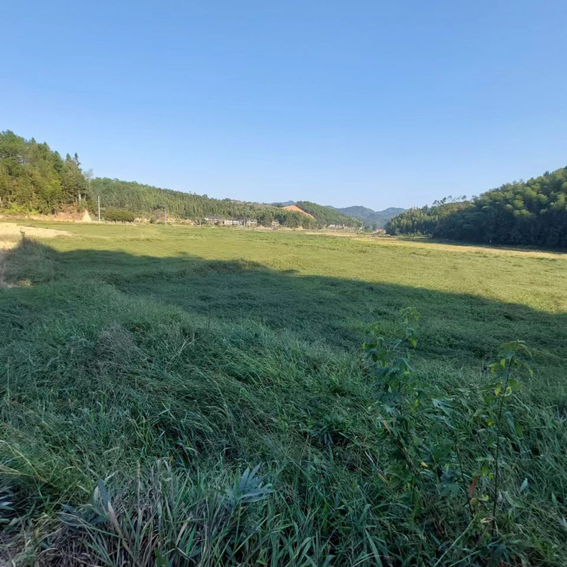 1a8702a50ff41a7c5e62d648a026e9