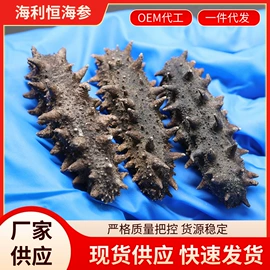 海参;方便粥类;速食汤料类