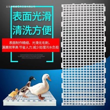 养殖地板漏粪板鹅鸽塑料网清粪鸡用板鸭鸡鸭禽类加厚养鸡地板鸡舍