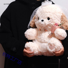 ��YС����������һ���鼆�ɐ۹���؈؈�Y�������˶Y������H����