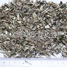 ���R��,����ѩ,·߅��,��ș����ݿ�ֲ��