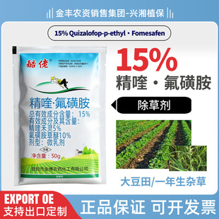 ����15%��୺��`���ǰ����Ѵ���������݄�����p��������