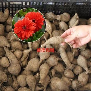 �������N��عϻ��ذ���ʹ����Ե��d�ļ��_���̨�Nֲ���ܴ�ȫ