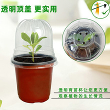 �pɫ���绨�����ϼӺ����������10CM�ڏ���̖��������С����