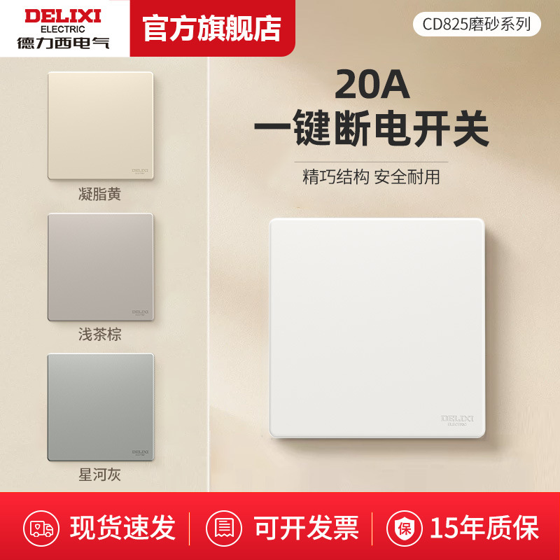 Delixi Lighting One-Button Power-Off Master Switch Matte Bipolar 20A High-Power Frosted Panel Concealed Household