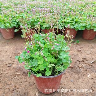 �G�~ը�u�� �������a �������R���������G���ݻ� ���جF؛