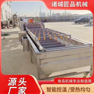 果蔬气泡清洗机多功能大姜清洗机连续式高压喷淋药材气泡清洗机厂