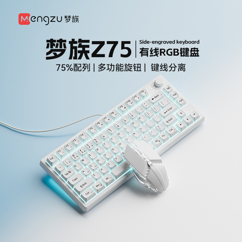 White wired+mouse