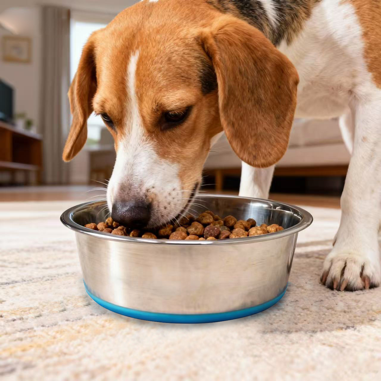 Tazón de acero inoxidable para perros, tazón antiderrames para comida de mascotas, tazón para beber para perros, tazón para comida de perros, suministros para perros, tazón especial para comida de perros