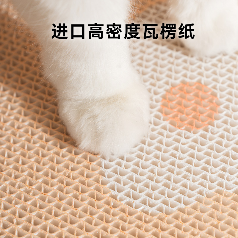 Flores frescas seta gato pegando tablero, pegando tablero de gato pegado