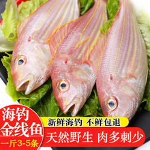红衫鱼】_红衫鱼品牌/图片/价格_红衫鱼批发_阿里巴巴
