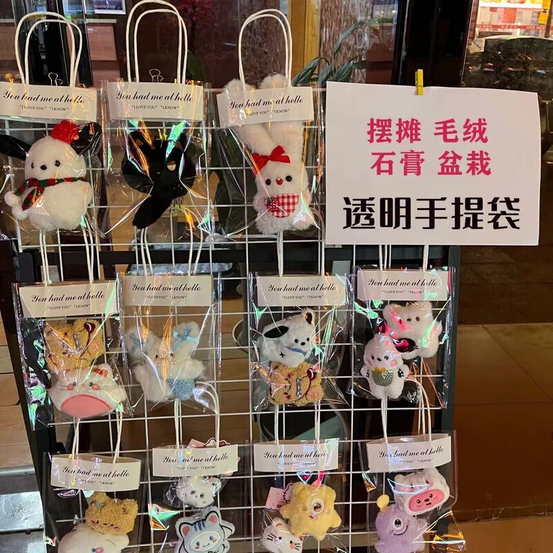 Trendy Transparent Jewelry Plaster Doll Plush Toy Potted Plant Knitted Flower Tote Bag Handmade Special Bag