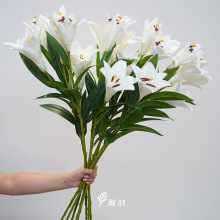 �F�ڰٺϷ��滨 �Ҿӿ͏d�Ӱ��g�b廨�[����c��Y·���󻨲�