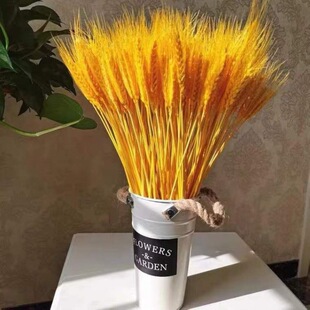 ��Ʒ�S����������_�I��ؔ�ɻ������b[����@�Ĕz����