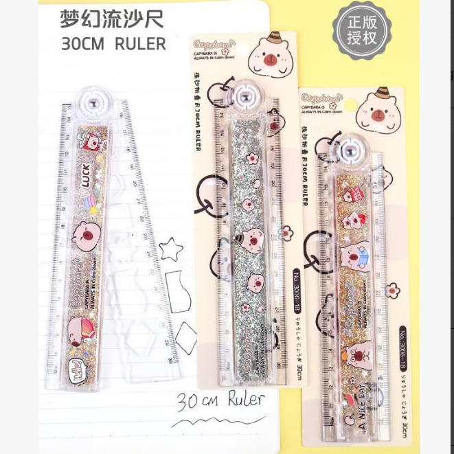 Capibara arena movente plegable regla larga estudiantes 20cm alargada regla recta escala clara regla plegable anti-caída image 7