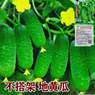�M����ˮ���S�ϷN�Ѻ��S�ϷN�����������̨���������ļ��߲˷N��