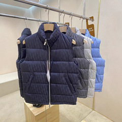 跨境外贸秋冬新款迪家时尚百搭潮流字母无袖立领帅气男式棉服马甲