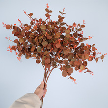 ��ɫ�~�ӷ��滨���W�Ҿ��b��ȼ����zӰ���߽��X�~ֲ����ɫϵ�~��