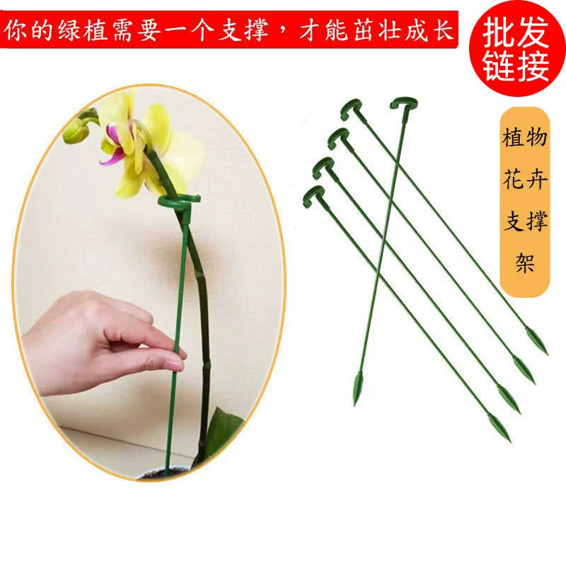 Мятный фаленопсис Специальная подставка для цветов растение в горшке цветок для укладки опорный стержень фиксированная защита для жилья лист