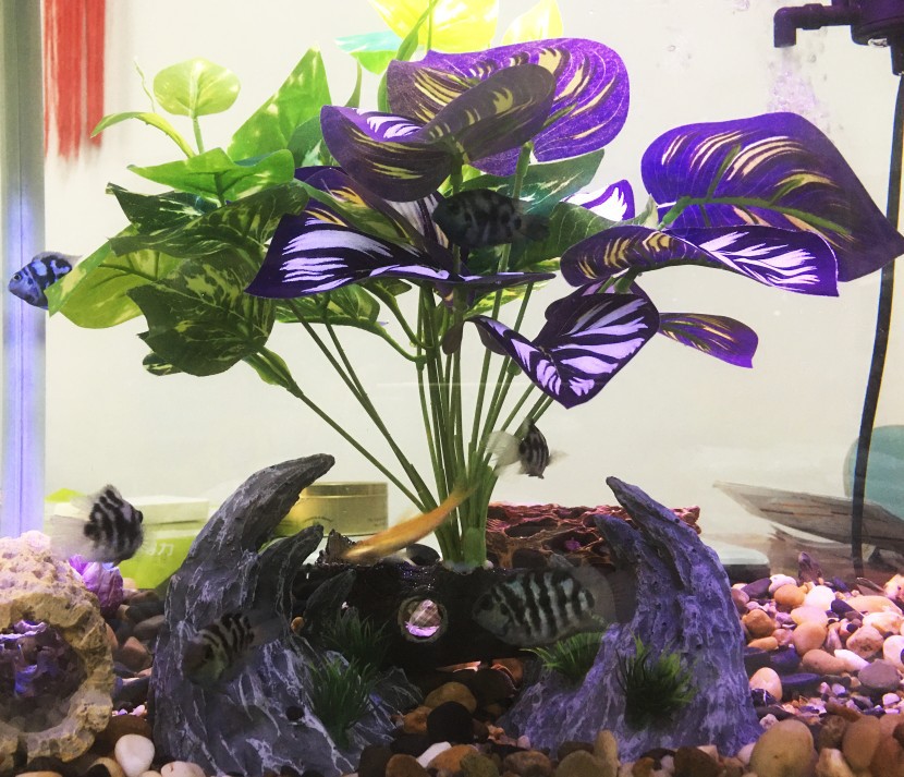 微信图片_2012454